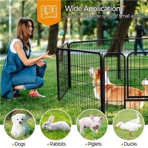 Pet Supplies