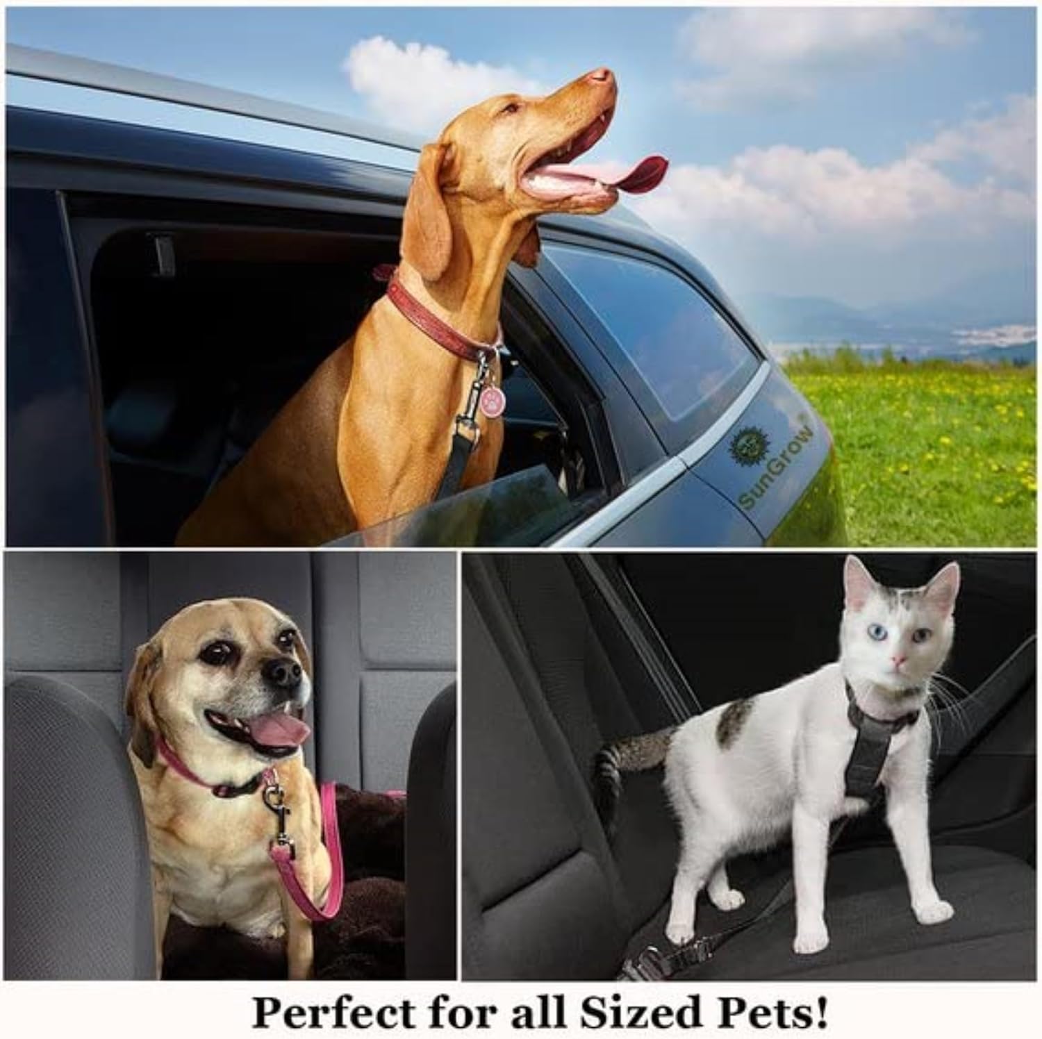 2pack SunGrow Dog Seat Belt for Car, Adjustable Nylon Pet Seatbelt, Supports All Cars, Dog Car Leash Seat Belt, Seatbelt for Dogs, Cats & Ferrets Travel Harness