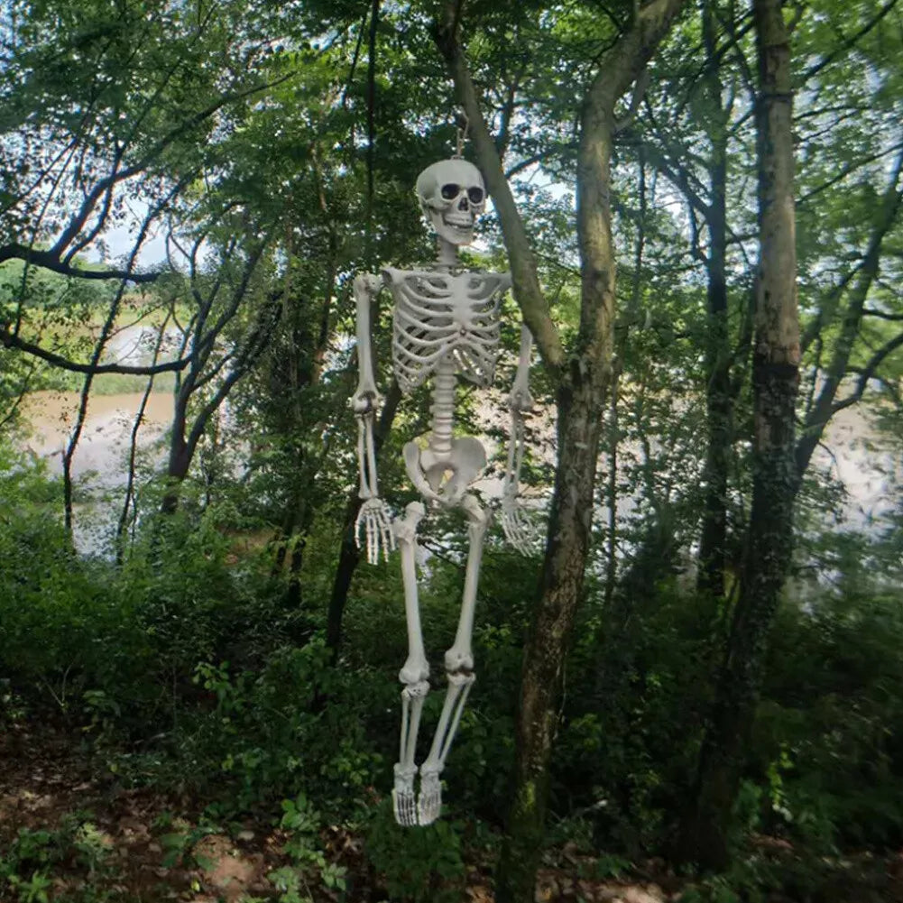 170cm Full Life Size Halloween Hanging Human Skeleton Bones Posable Skull Party