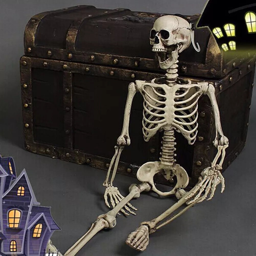 170cm Full Life Size Halloween Hanging Human Skeleton Bones Posable Skull Party