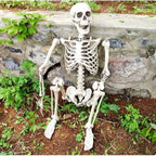 170cm Full Life Size Halloween Hanging Human Skeleton Bones Posable Skull Party