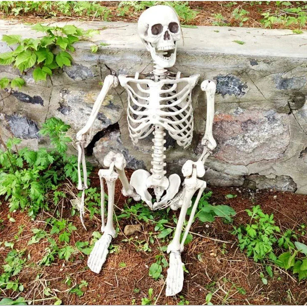 170cm Full Life Size Halloween Hanging Human Skeleton Bones Posable Skull Party
