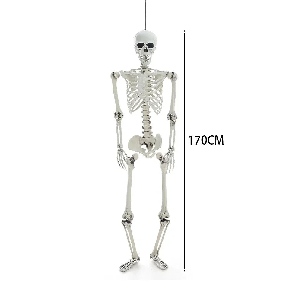 170cm Full Life Size Halloween Hanging Human Skeleton Bones Posable Skull Party