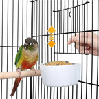 Bird Cage w/ Stand