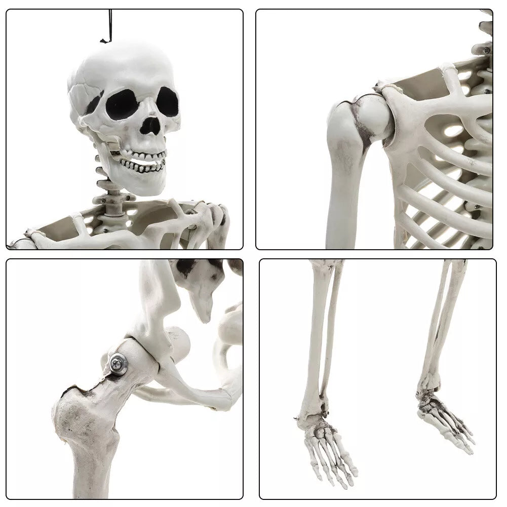 170cm Full Life Size Halloween Hanging Human Skeleton Bones Posable Skull Party