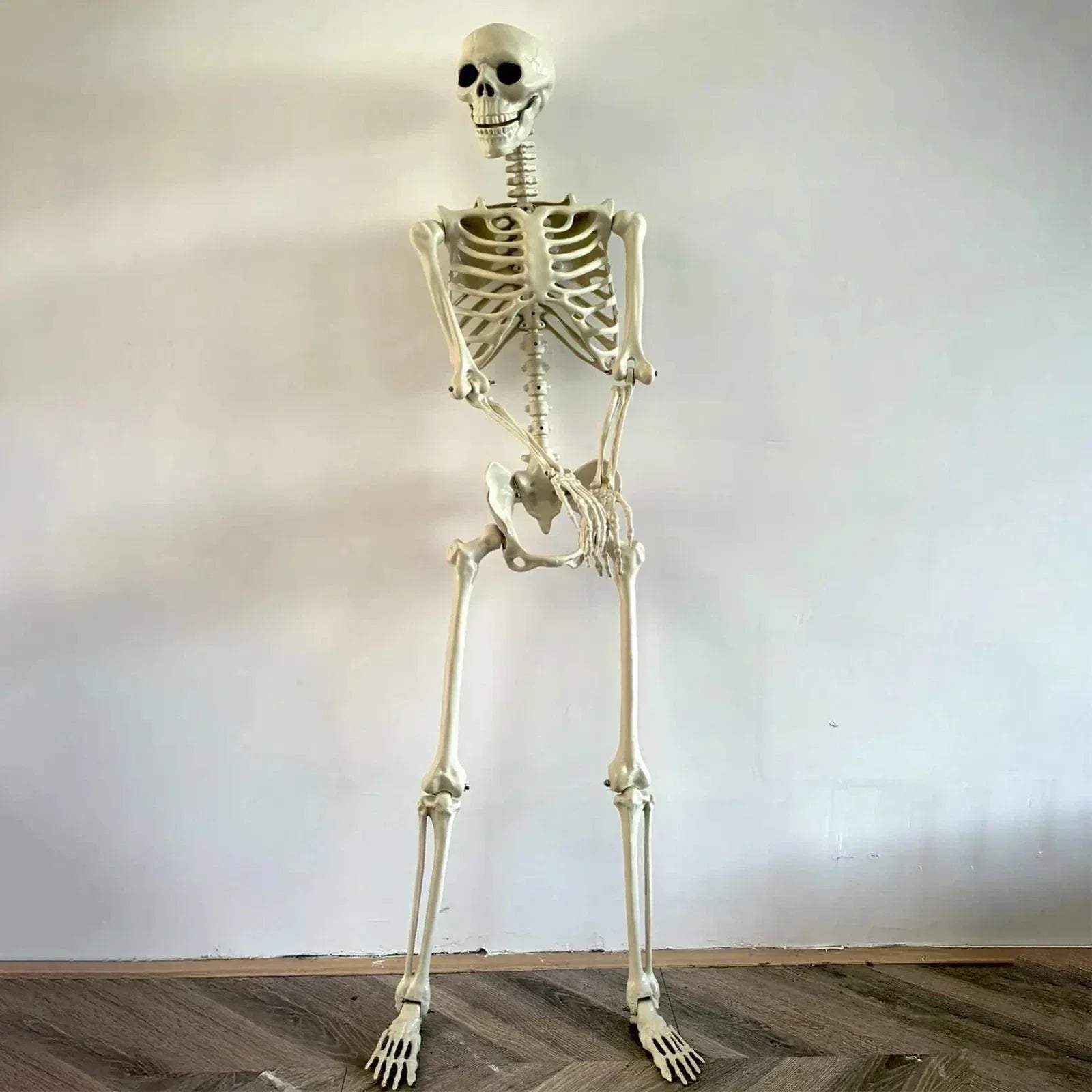 Halloween Human Skeleton Poseable Full Life Size Decoration Party Prop 90 cm